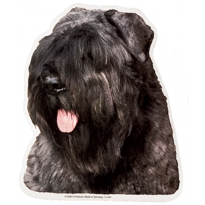 Autocollant Bouvier des Flandres - 15cm