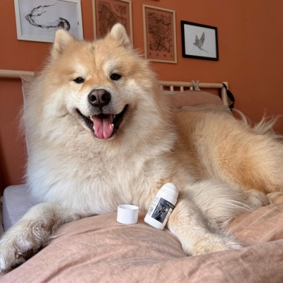 Baume coussinets et truffe pour chien 50ml - Héry situation