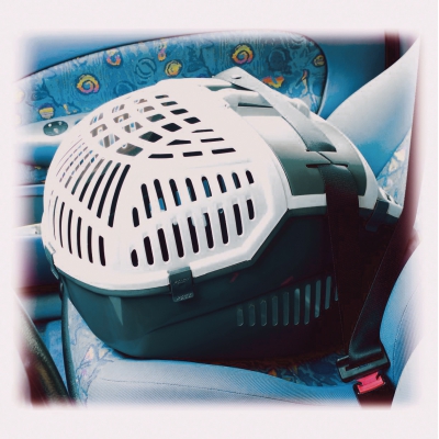 Cage de transport pour chien et chat Avior Grise  - 57,5x39,5x40,5 cm  
