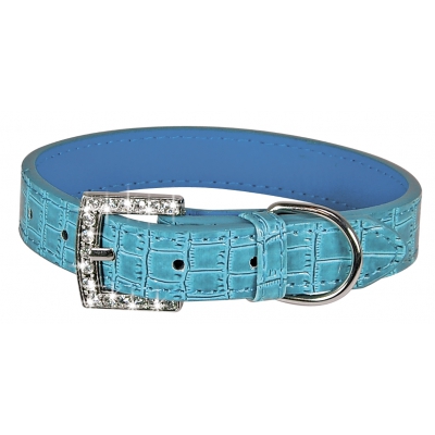 Collier Celeste pour chien - Bleu