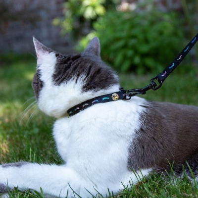 Collier Collection DODO - Noir 4