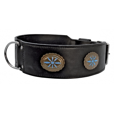 Collier conquistador pour chien - Noir