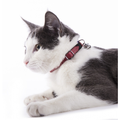Collier cuir Farandole Chat - Rouge kiko