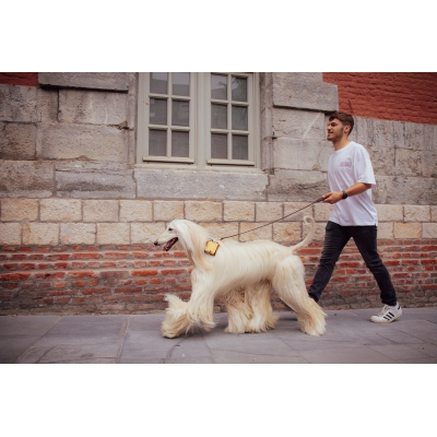 Collier Cuivre Métalisé en cuir - Dakota