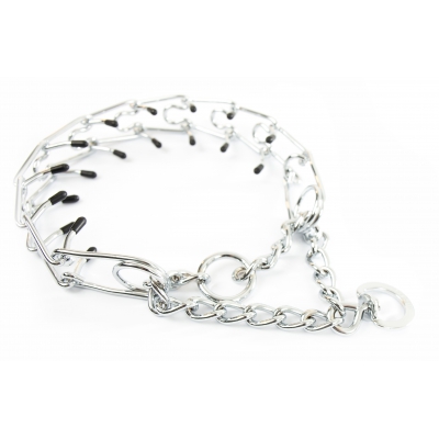 Collier Education Torquatus chromé