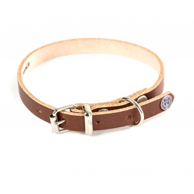 Collier en cuir marron pour chien - cuir coloré classique
