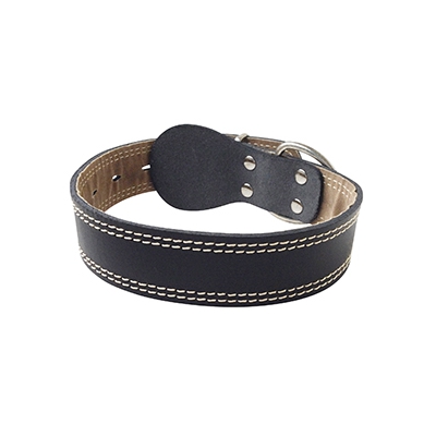 Collier en cuir noir pour chien