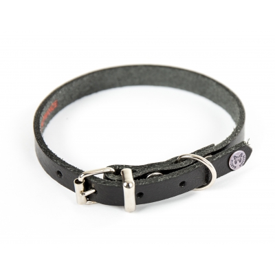 Collier en cuir noir pour chien - cuir coloré classique