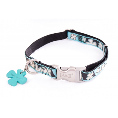 Collier pour chien - Bowxy bleu