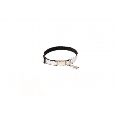 Collier pour chien - Disco White