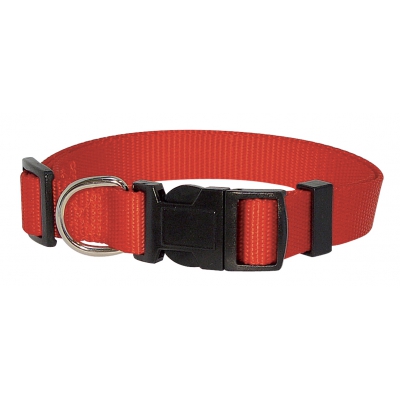 Collier pour chien en nylon rouge