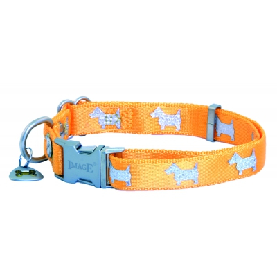 Collier pour chien - Happy