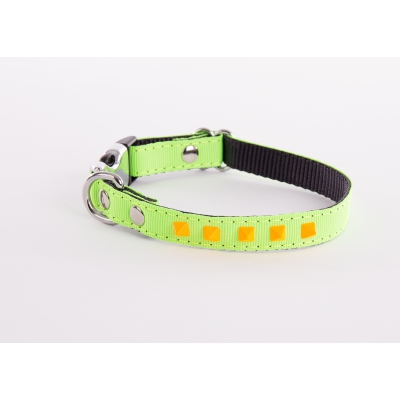 Collier pour chien nylon Fluo Color vert & orange