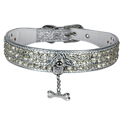 Collier silver pour chien