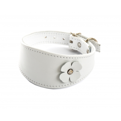 Collier Whippet et Lévrier en cuir blanc - cuir fantaisie trèfle peausserie