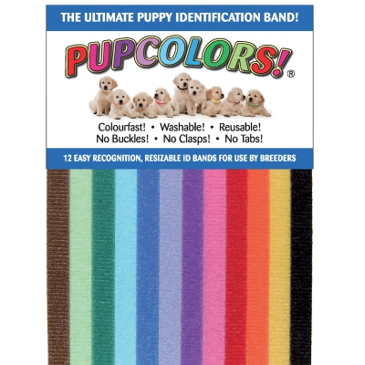 Colliers identification pour chiots x 12