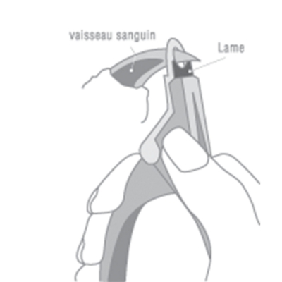 COUPE ONGLES GUILLOTINE