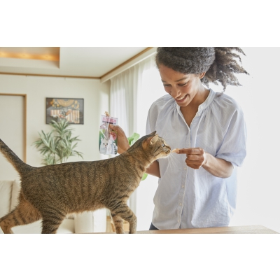 Filet de poulet grillé - Saveur Crabe x12 photo