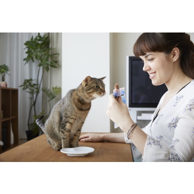 Filet de thon grillé - Saveur thon x12_photo