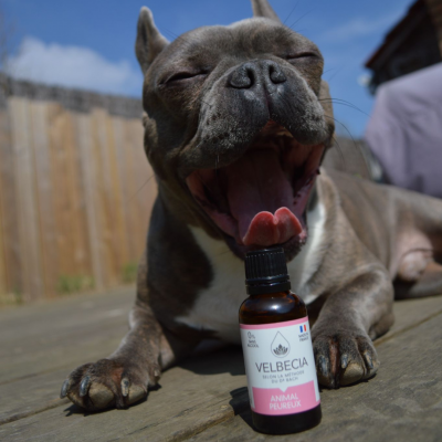 Fleurs de Bach Velbecia Animal Peureux - 30ml 2