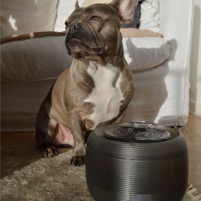 Fontaine à eau - Martin Fountain 2,5L 4