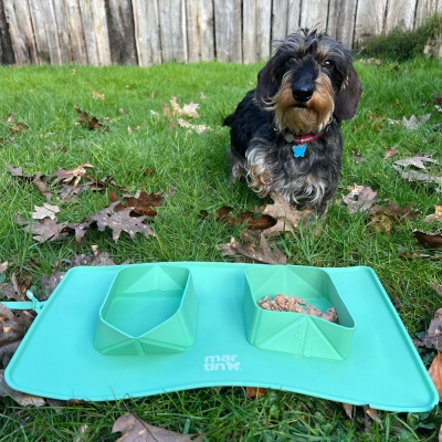 Gamelle double pliable silicone pour chien et chat - vert ok