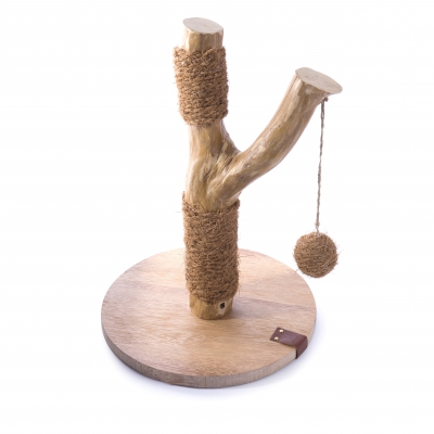 Griffoir pour chat - Caféier chaton