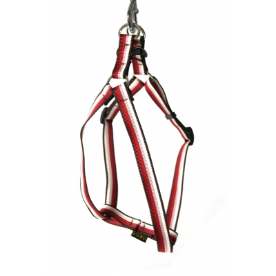 Harnais baudrier pour chien - Baya