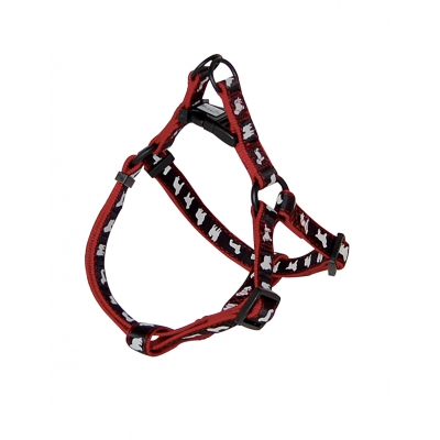 Harnais "Galon noir"