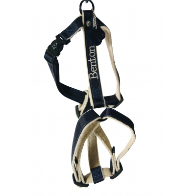 Harnais nylon pour chien - Benton bleu