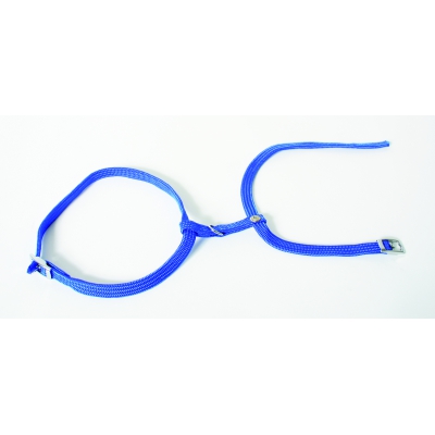 Harnais nylon tubulaire uni pour chat - bleu