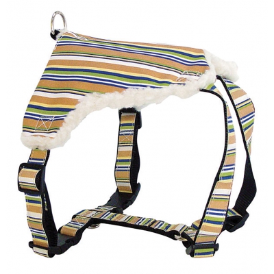 Harnais pour chien - color lines