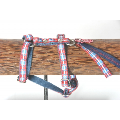 Harnais pour chien - Dog Save The Queen