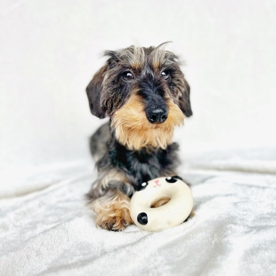 Jouet Latex - Donut sonore - Tofu 4