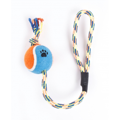 Jouet pour chien - balles de tennis - balle corde - Lot de 4