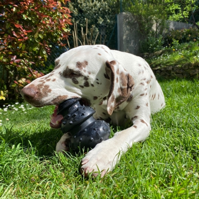 Jouet Rubb'n'Black circus noir 4