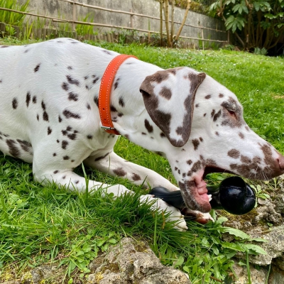 Jouet Rubb'n'Black os noir - XL - 22 cm 3