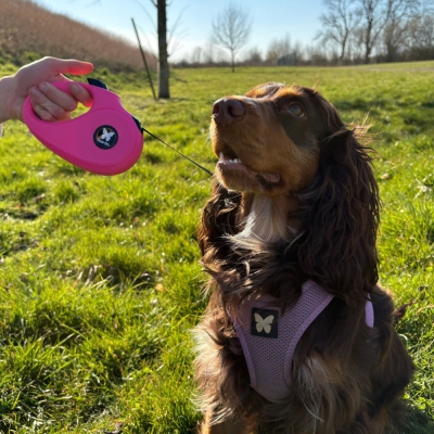 Laisse corde "INSTINCT" rétractable - Rose 5