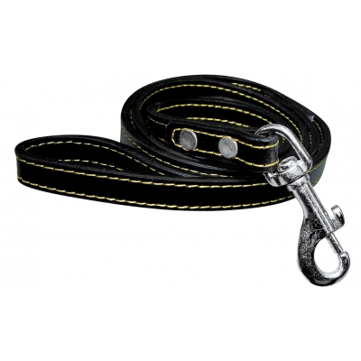 Laisse cuir pour chien - noir