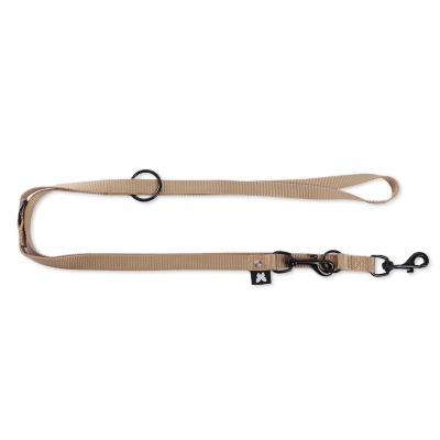 Laisse de dressage 3 positions pour chien - beige 2