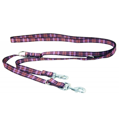Laisse de dressage 3 positions pour chien - Chili