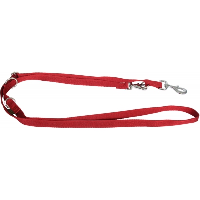 Laisse de dressage 3 positions pour chien - Rubis