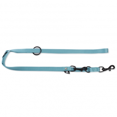 Laisse de dressage 3 positions pour chien - turquoise 2