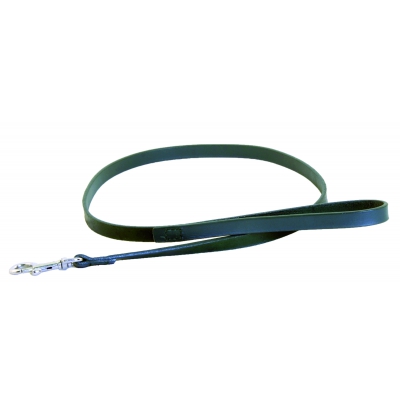 Laisse en cuir vert pour chien - coupé franc piqué