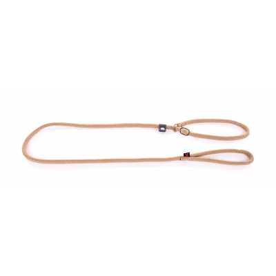 Laisse nylon avec collier éducation beige - 180cm 