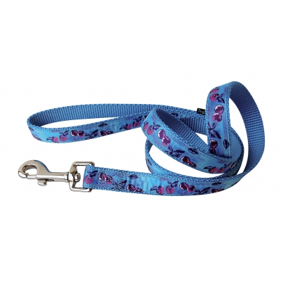 Laisse nylon cerises bleu