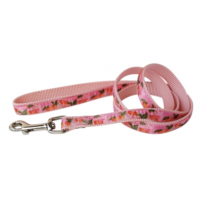 Laisse nylon cerises rose
