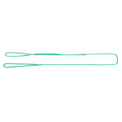 Laisse pour chien - nylon pour chien - Laisse pour chien - de présentation verte