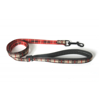 Laisse pour chien - Scotland beige