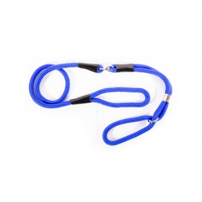 Laisse présentation  ronde bleu